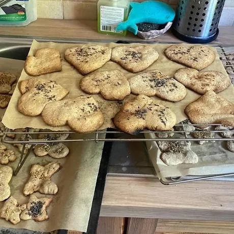 Blachy z upieczonymi ciasteczkami na kuchennym blacie