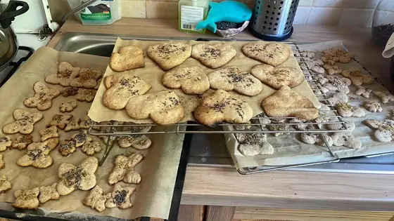 Blachy z upieczonymi ciasteczkami na kuchennym blacie